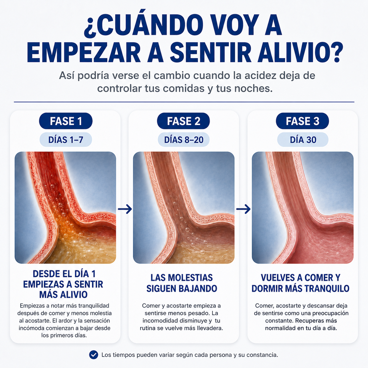 Reflora® | Alivio para la Acidez que Vuelve Después de Comer o al Acostarte